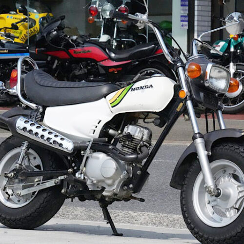 ノーティダックス 発売です！ | ゼッピンリンギョウ